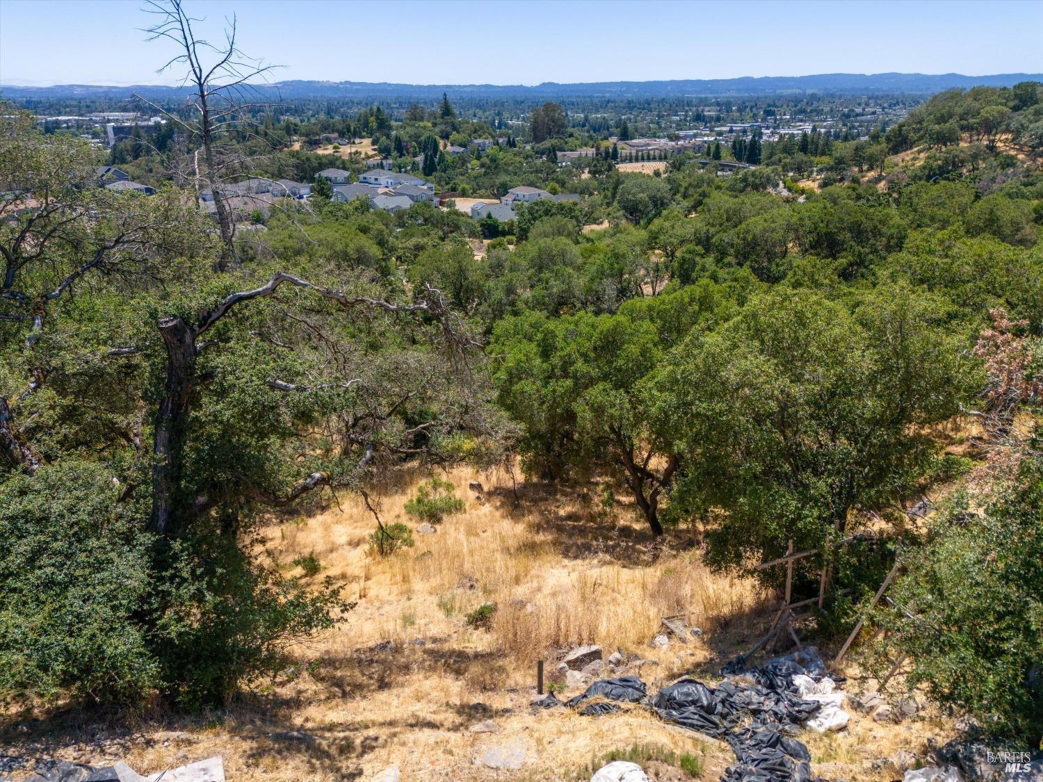 1930 Viewpointe Circle Santa Rosa, CA 95403 - Photo 18 of 21 a view of a forest with a forest