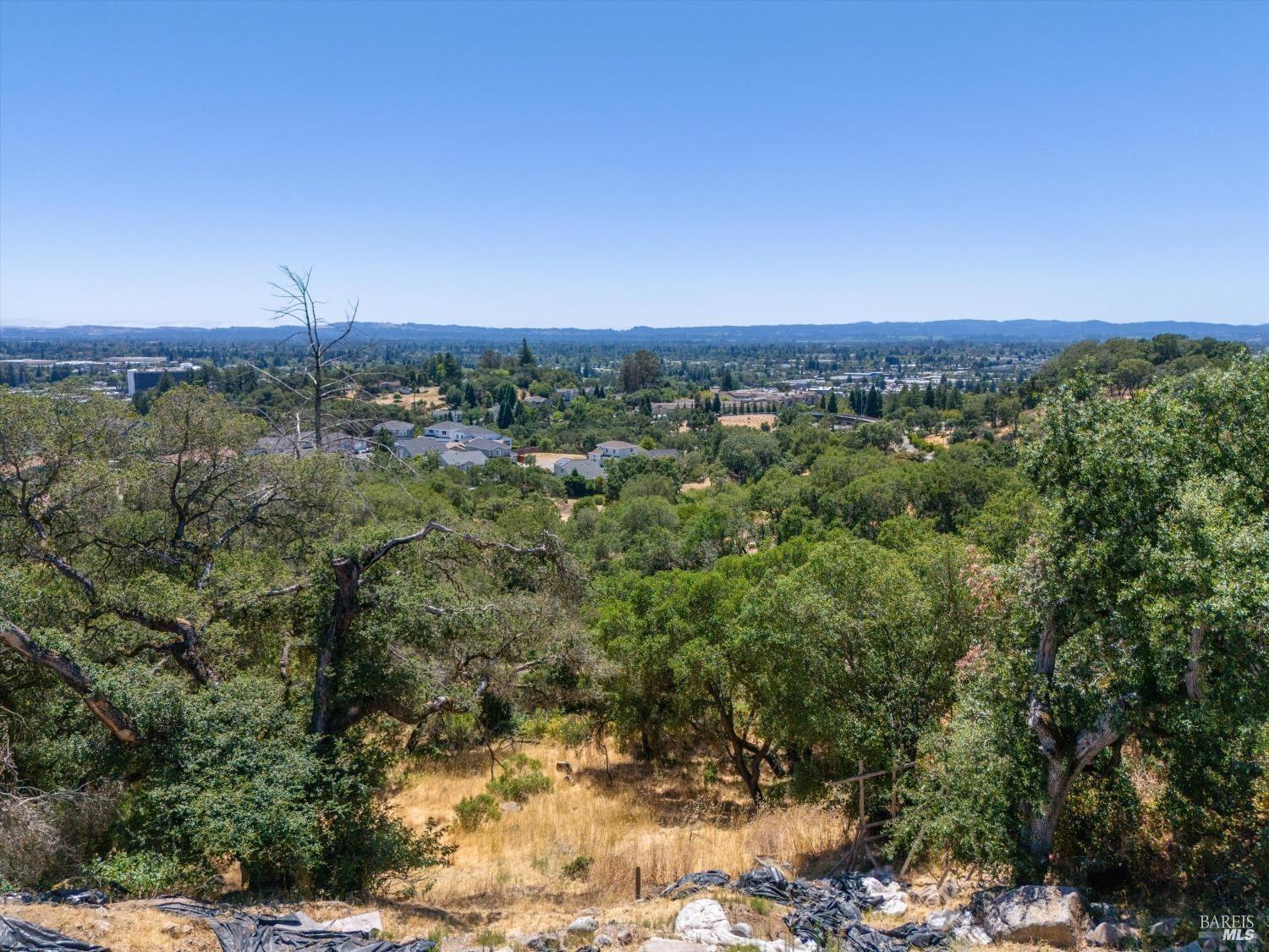1930 Viewpointe Circle Santa Rosa, CA 95403 - Photo 4 of 21 a view of a city with lush green forest