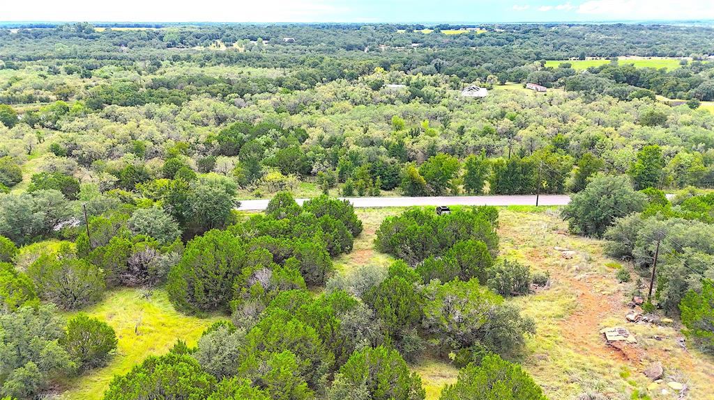 Tbd A Consolation Drive Millsap, TX 76066 - Photo 11 of 16 a view of a big yard with lots of green plants
