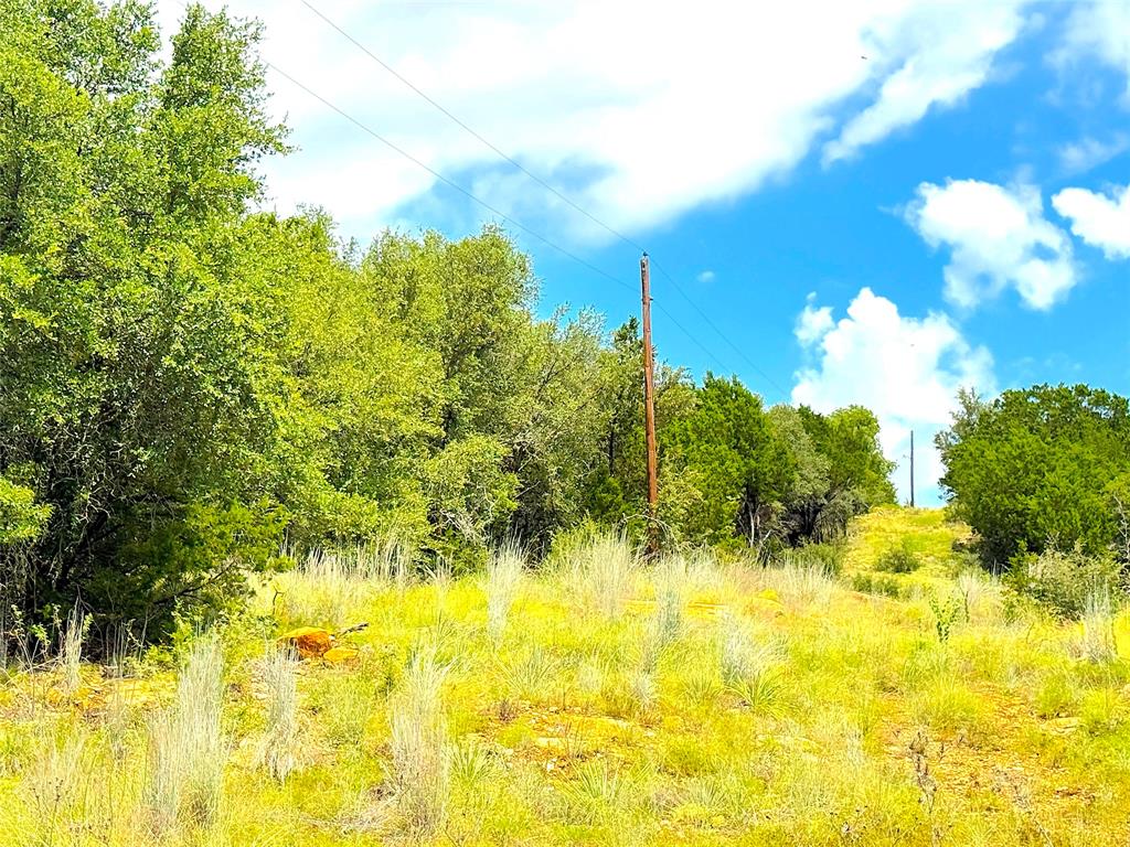 Tbd A Consolation Drive Millsap, TX 76066 - Photo 4 of 16 a view of a yard with yellow house
