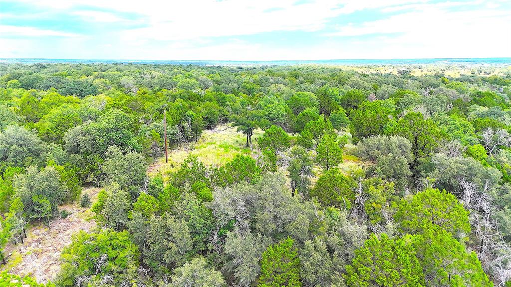 Tbd A Consolation Drive Millsap, TX 76066 - Photo 8 of 16 a view of a green yard