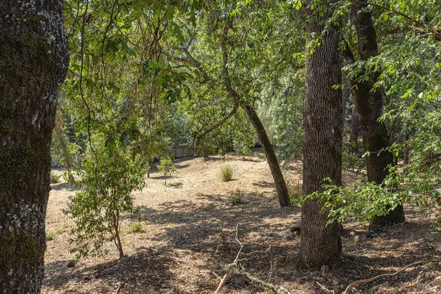 an aerial view of residential house with outdoor space and trees all around