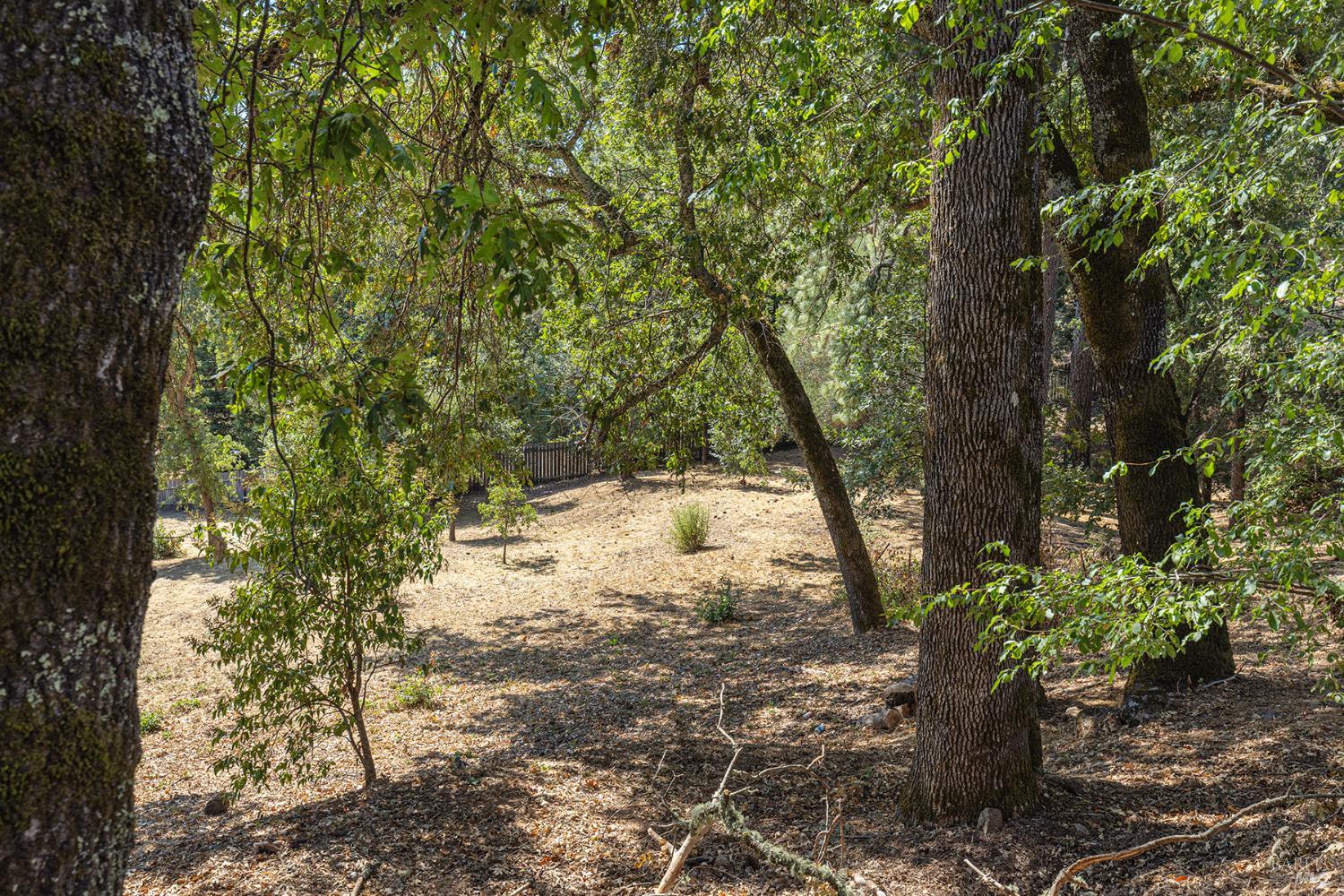 525 Keyes Avenue Angwin, CA 94508 - Photo 42 of 65