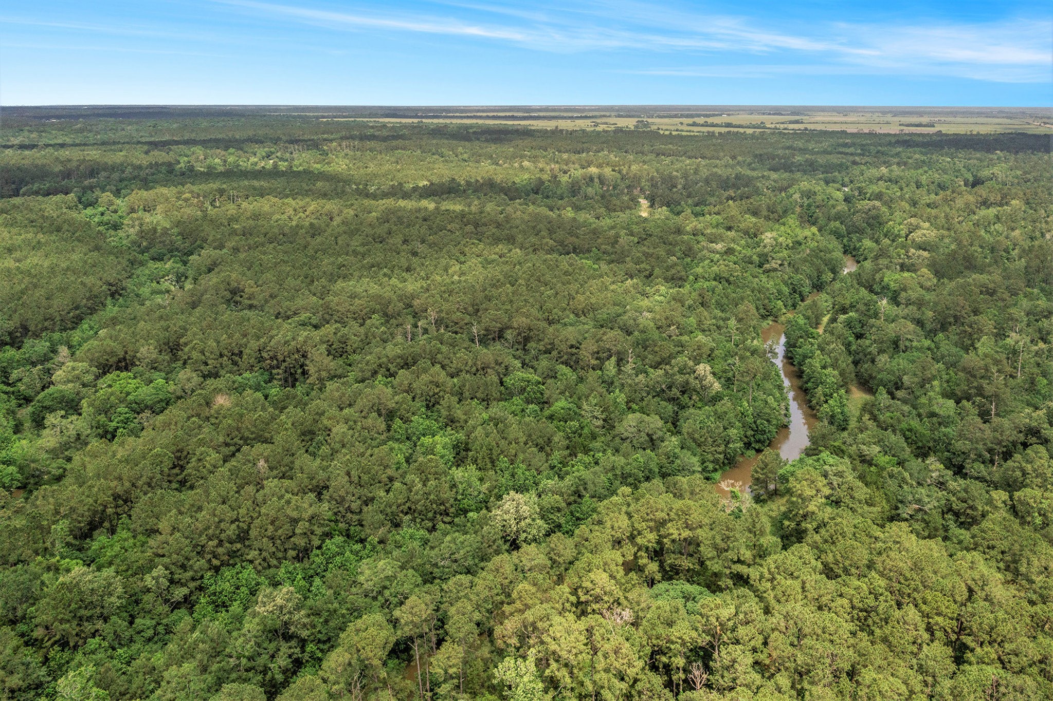 Expansive aerial view of lush, wooded land with a meandering bayou, offering serene natural beauty and privacy, perfect for a secluded home site.