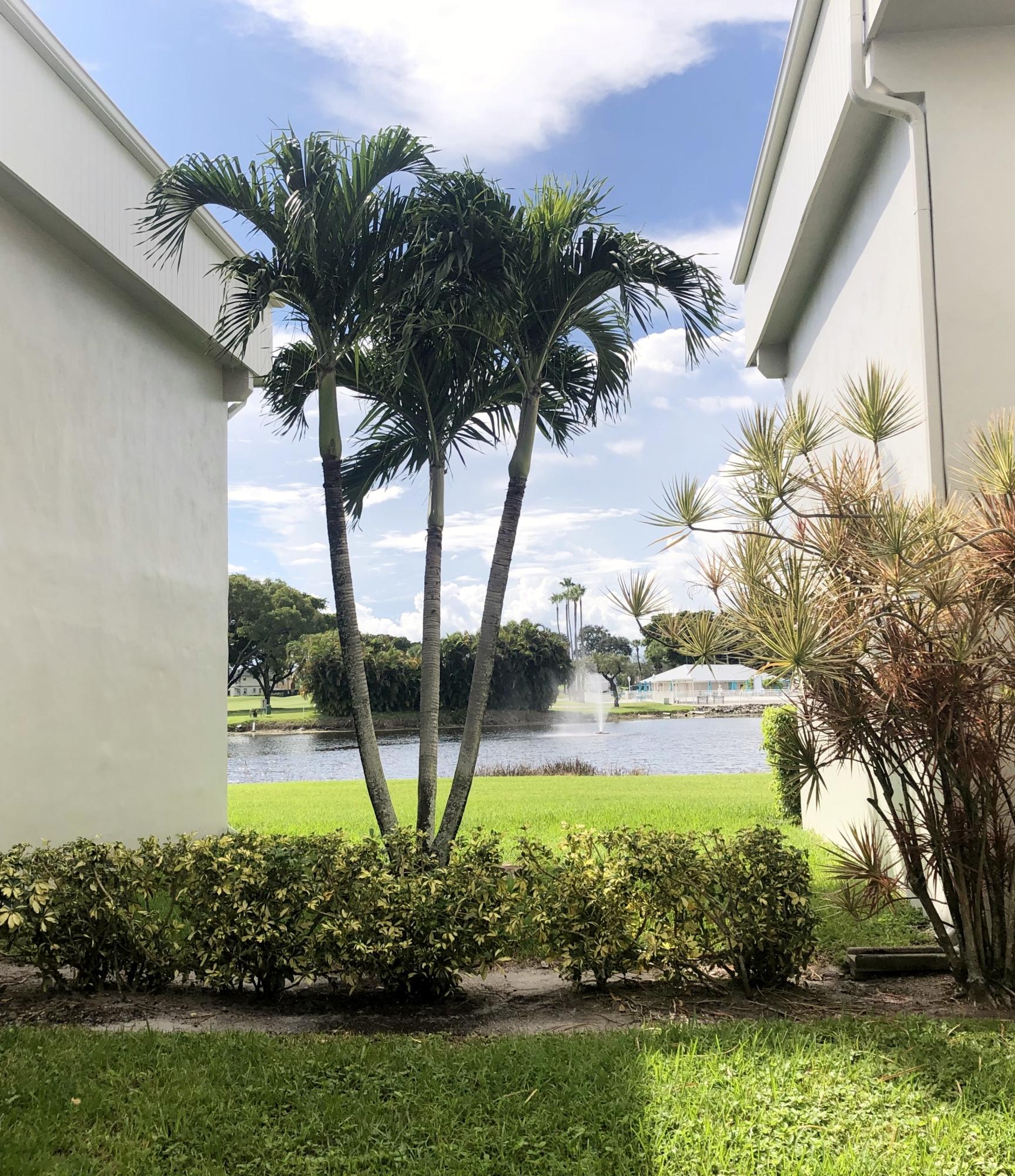 19 Capri A Delray Beach, FL 33484 - Photo 5 of 19 IMG_E2069