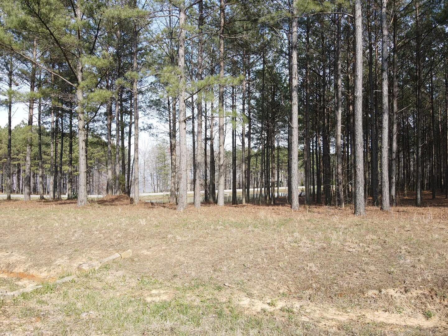 179 High Point Lane Jasper, TN 37347 - Photo 46 of 91 2024-03-21-15-54-25-978