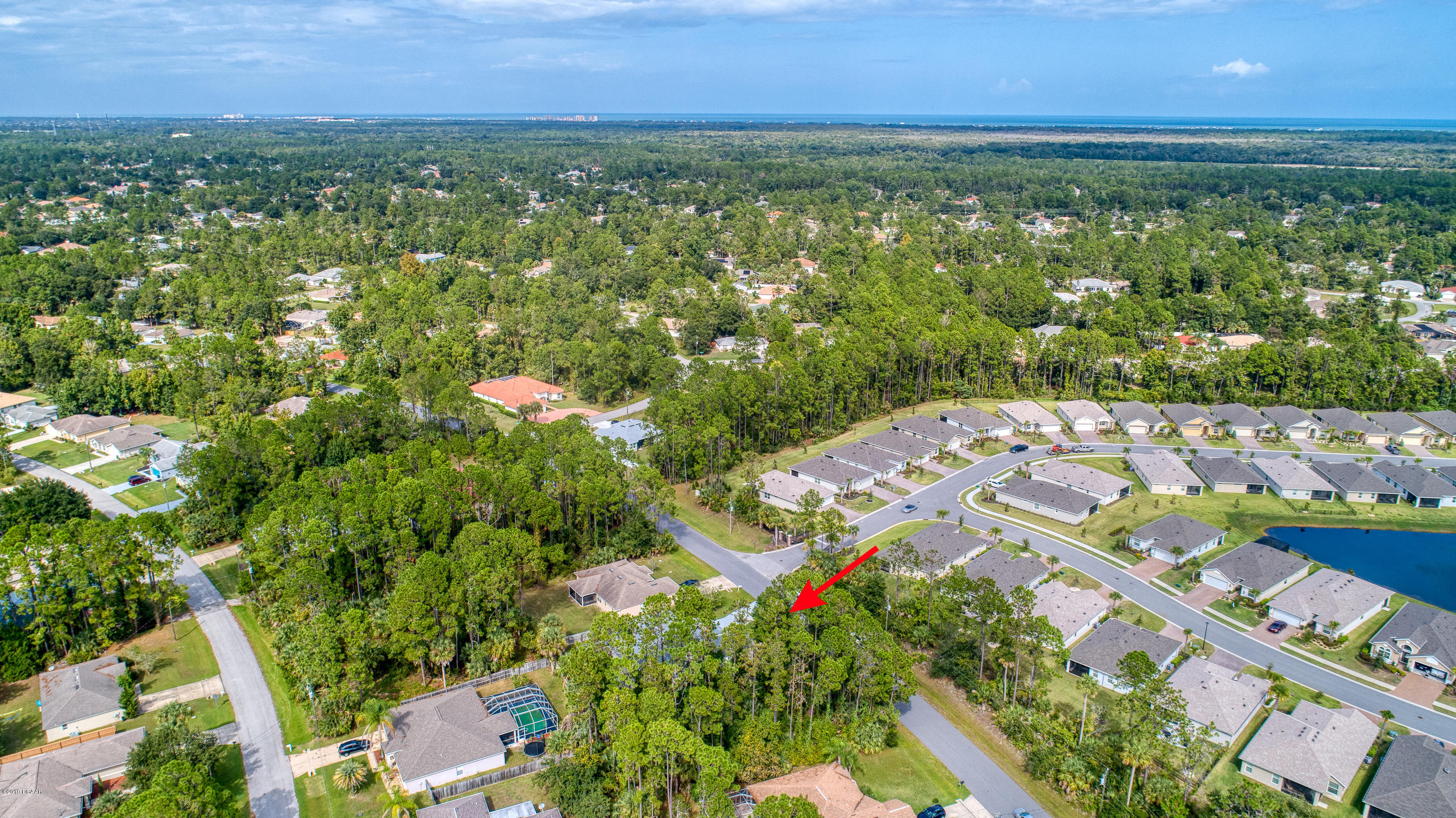 36 Pine Tree Drive Palm Coast, FL 32164 - Photo 45 of 52 an aerial view of residential houses with outdoor space and trees