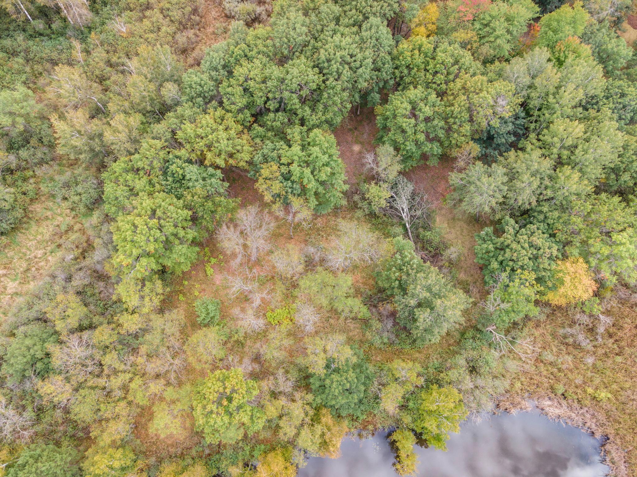 56-xx Heather Ridge Court St. Paul, MN 55126 - Photo 14 of 28