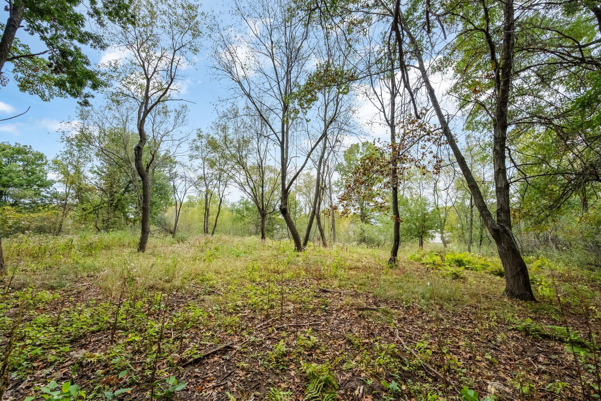 56-xx Heather Ridge Court St. Paul, MN 55126 - Photo 25 of 28