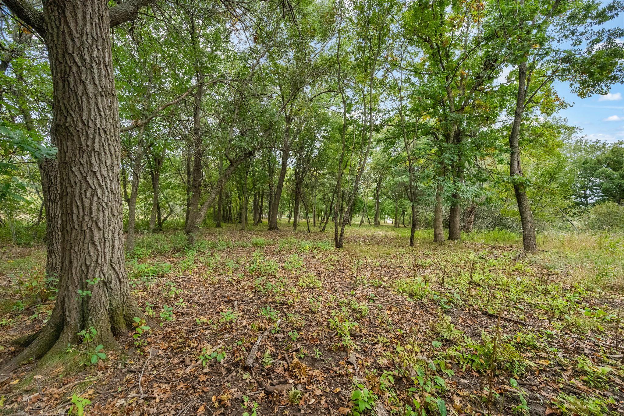 56-xx Heather Ridge Court St. Paul, MN 55126 - Photo 26 of 28