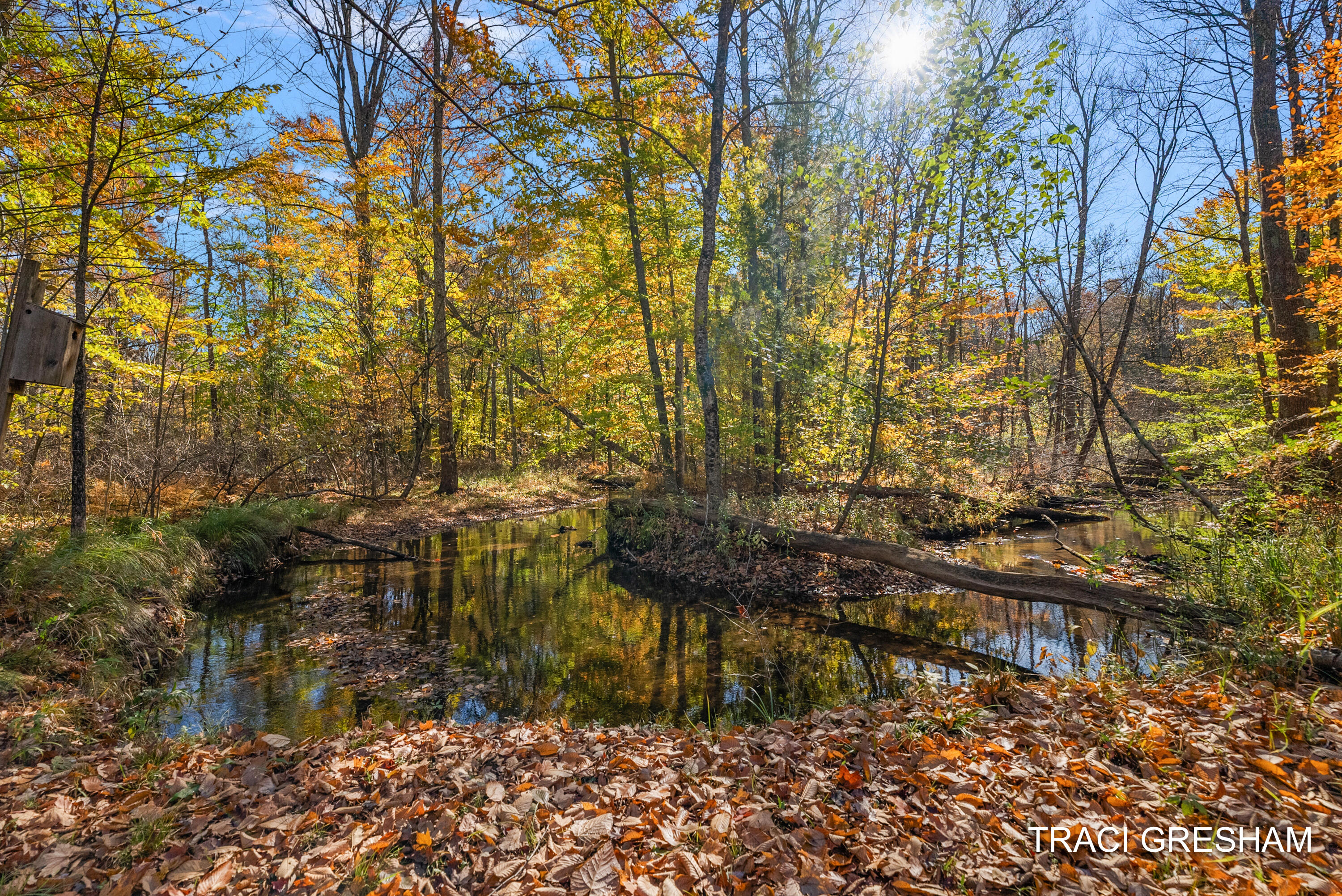 4960 South Hilton Park Road Fruitport, MI 49415 - Photo 3 of 64 4960 S Hilton Park Rd