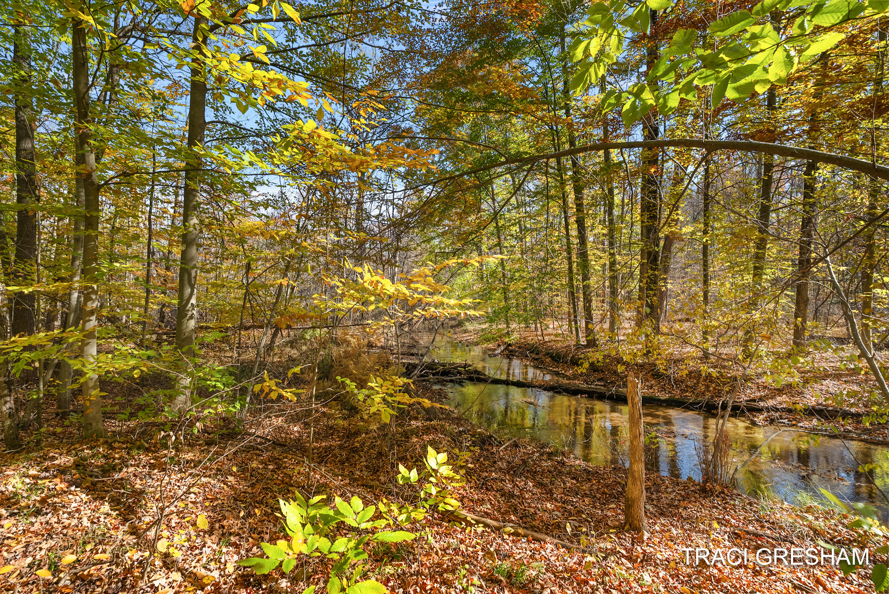 4960 South Hilton Park Road Fruitport, MI 49415 - Photo 51 of 64 4960 S Hilton Park Rd