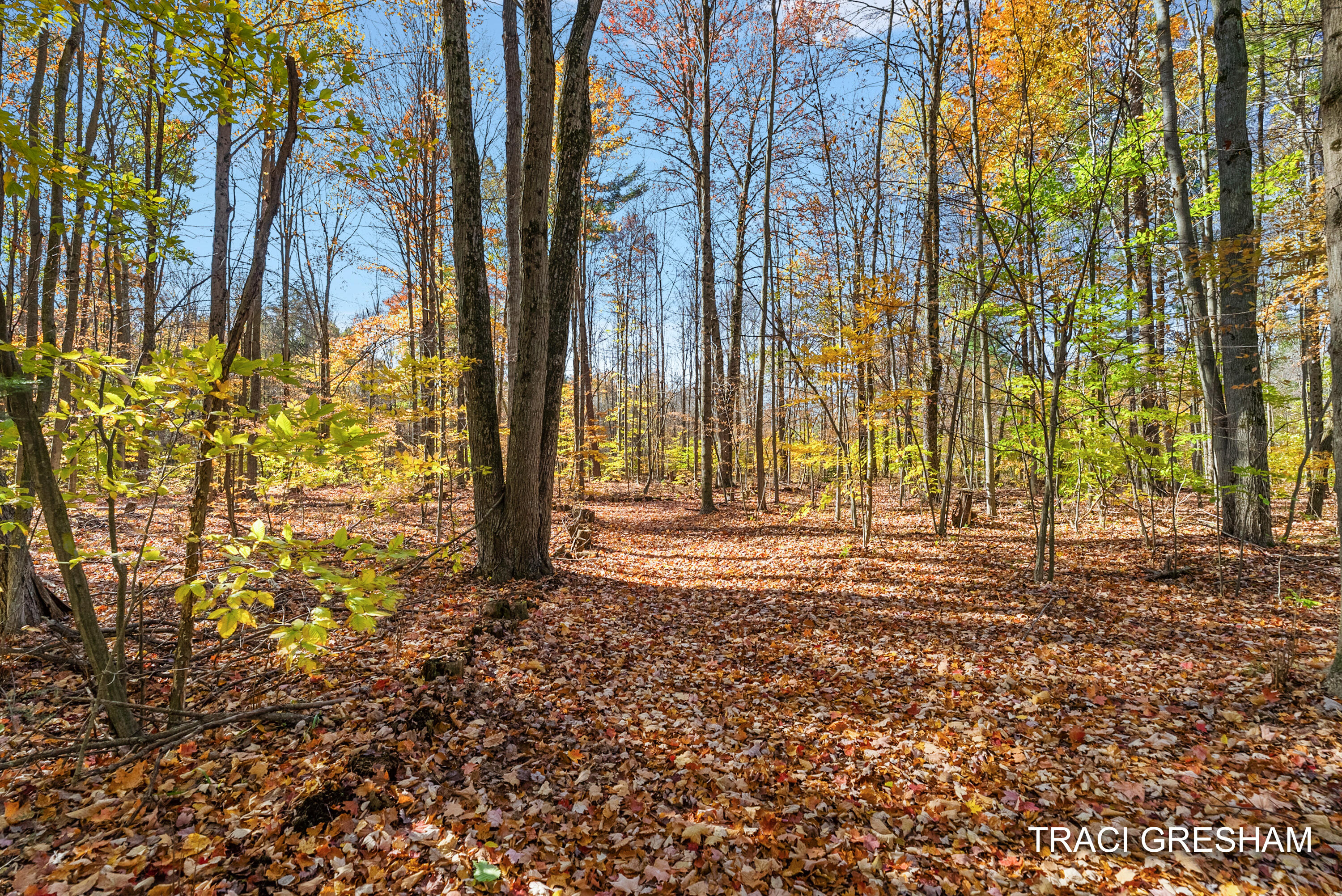 4960 South Hilton Park Road Fruitport, MI 49415 - Photo 52 of 64 4960 S Hilton Park Rd