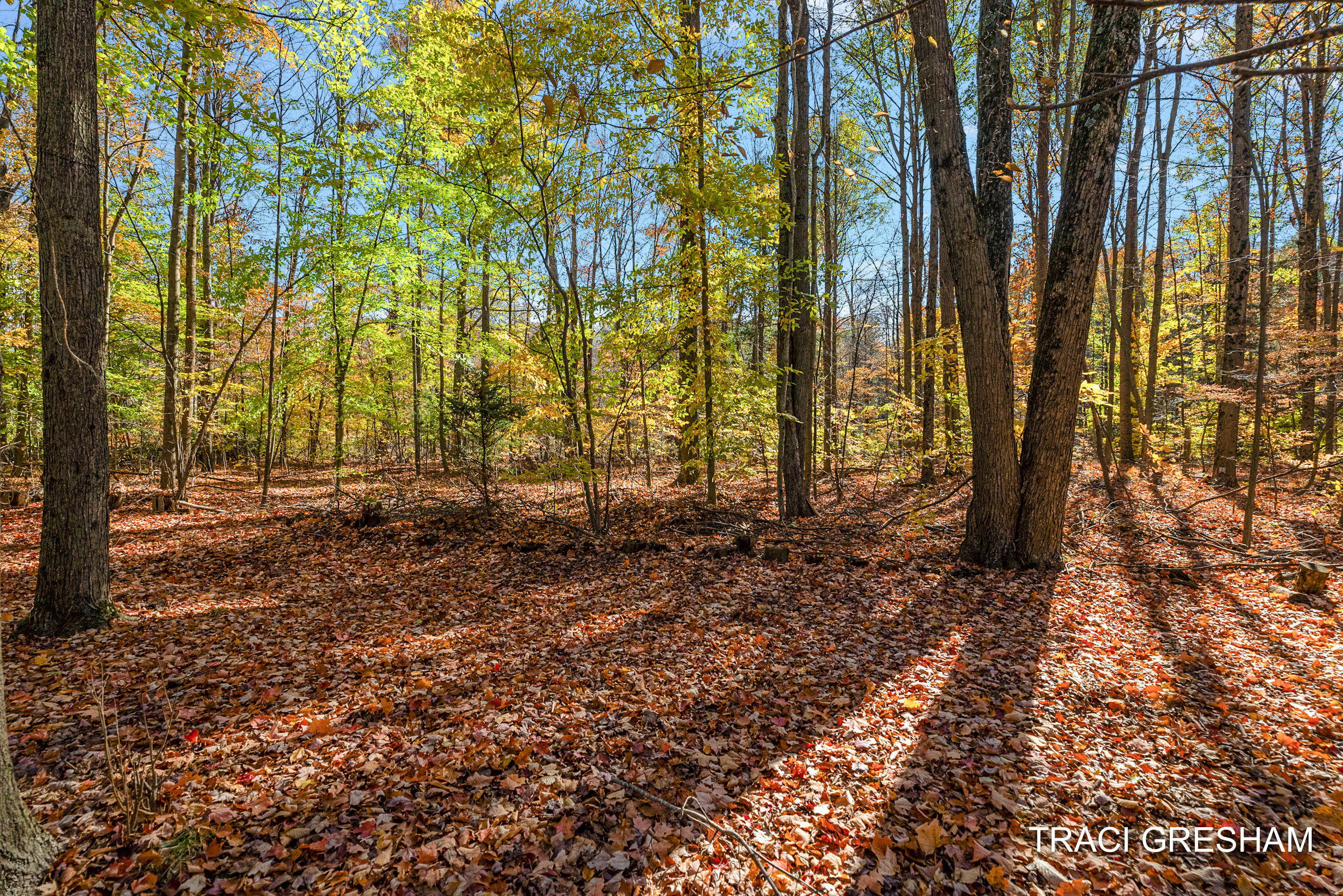 4960 South Hilton Park Road Fruitport, MI 49415 - Photo 53 of 64 4960 S Hilton Park Rd