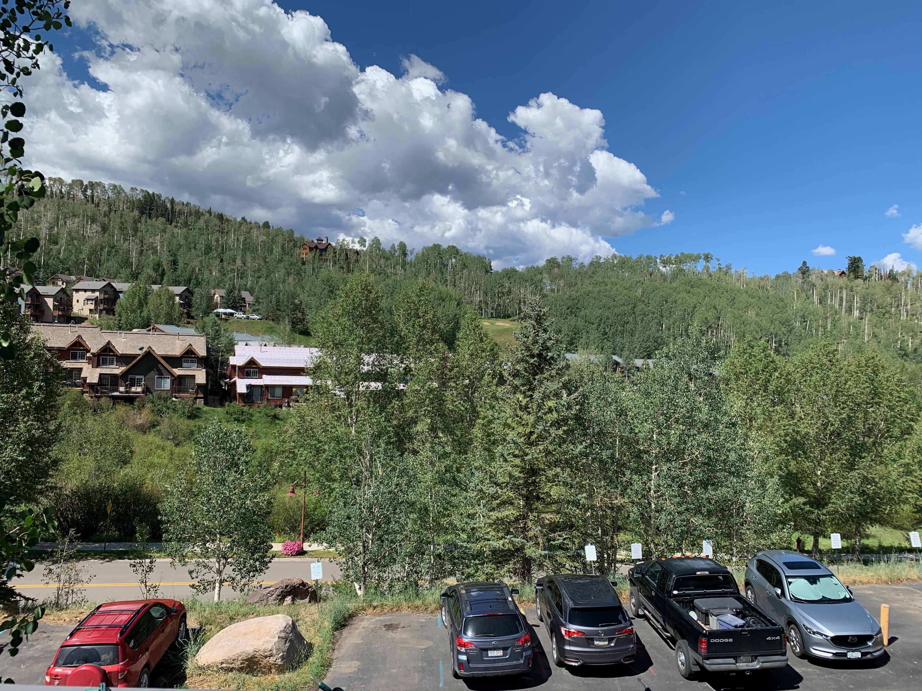 323 Adams Ranch Road, Unit 5B Mountain Village, CO 81435 - Photo 24 of 30 a view of a car parked on the side of a road with trees