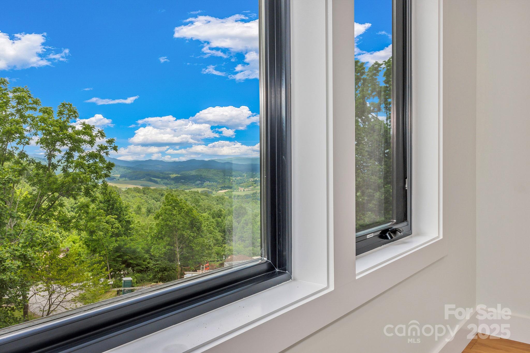 127 View Ridge Parkway Leicester, NC 28748 - Photo 25 of 48