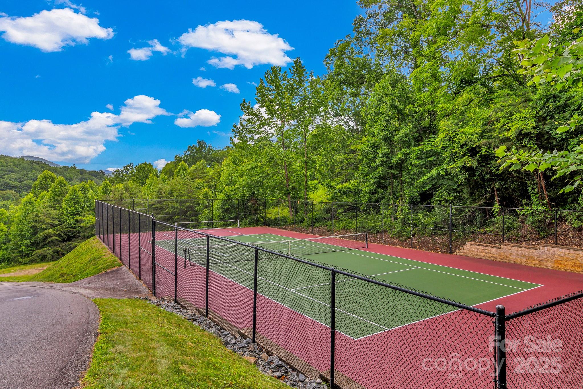127 View Ridge Parkway Leicester, NC 28748 - Photo 46 of 48