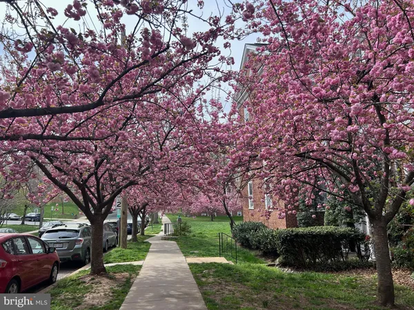 $2,695 | 3541 39th Street Northwest, Unit C507, Washington, DC 20016