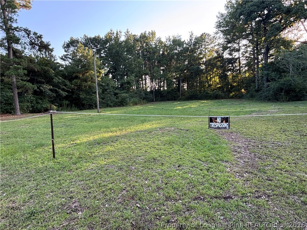 595 Shaw Road St. Pauls, NC 28384 - Photo 7 of 29