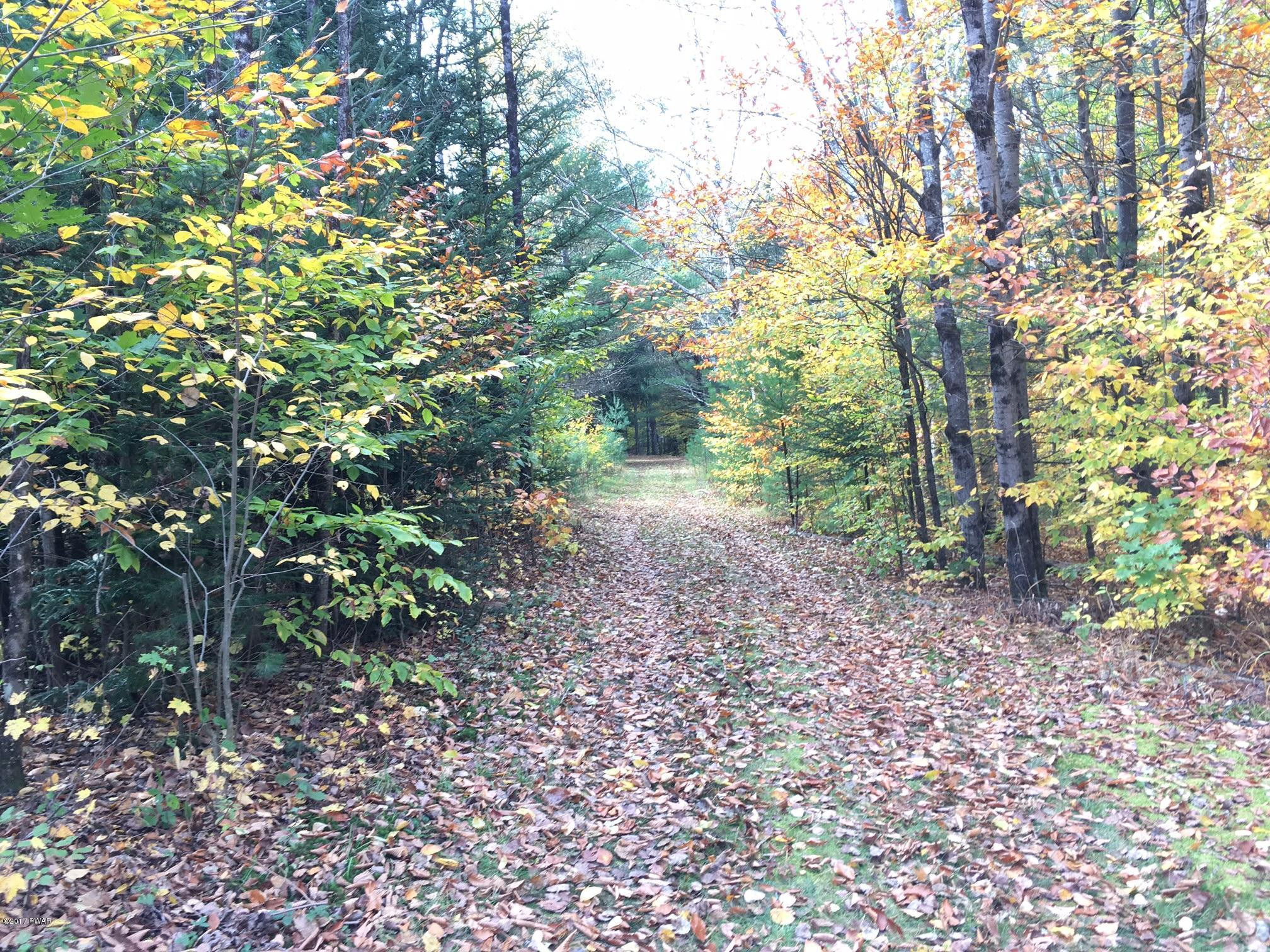 896 Peters Road Hancock, NY 13783 - Photo 10 of 11