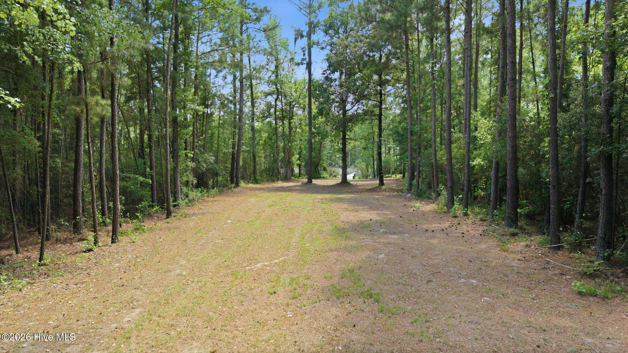 408 Tarpon Pointe Road Bath, NC 27808 - Photo 22 of 23