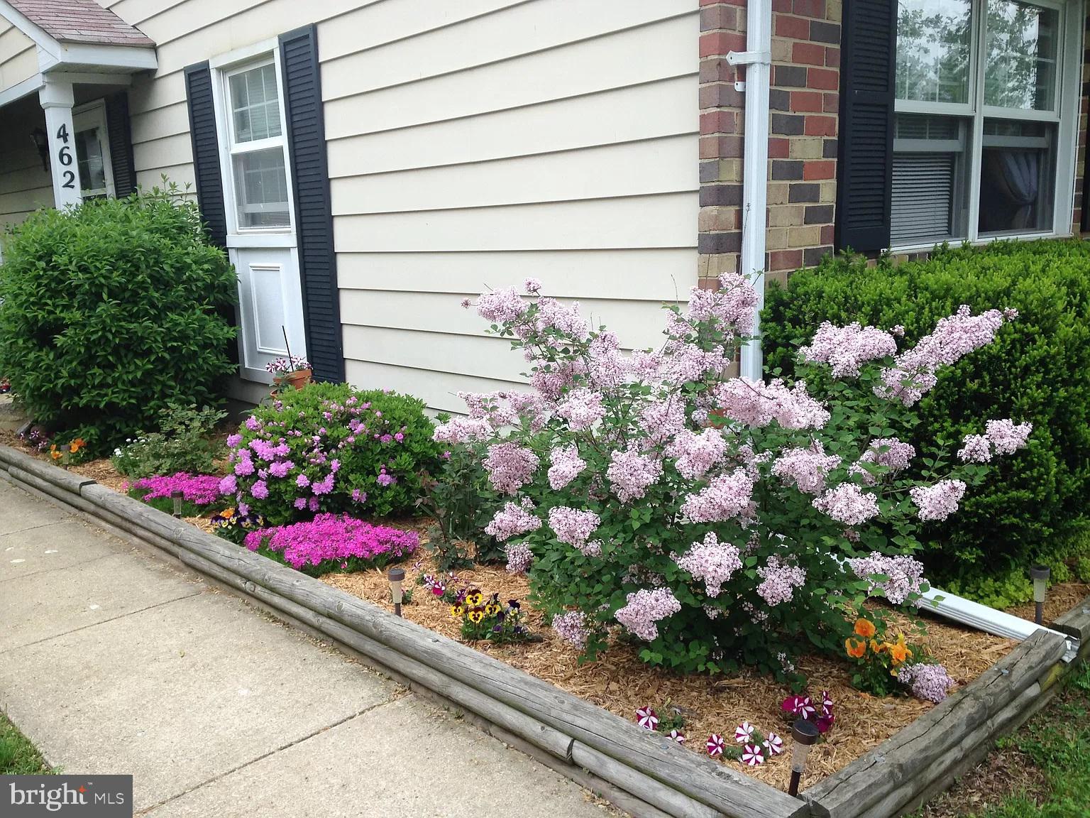 a bunch of flowers in front of house