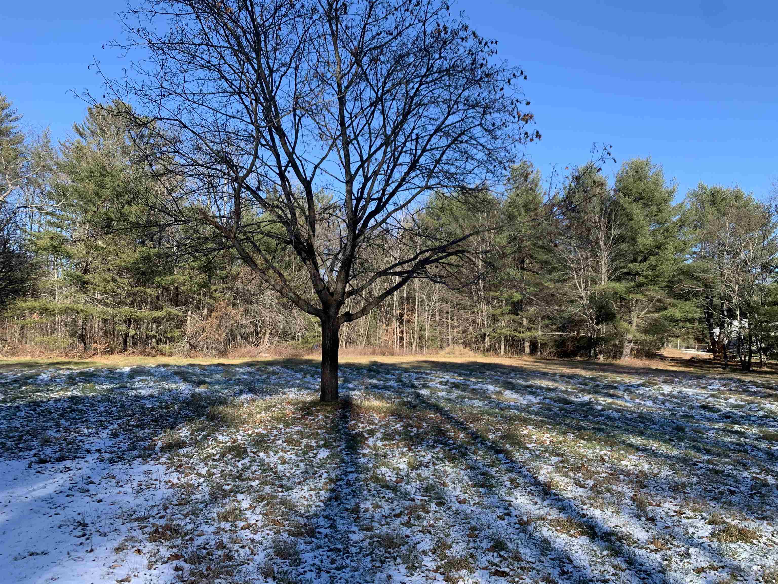 672 Borough Road Hill, NH 03243 - Photo 1 of 14