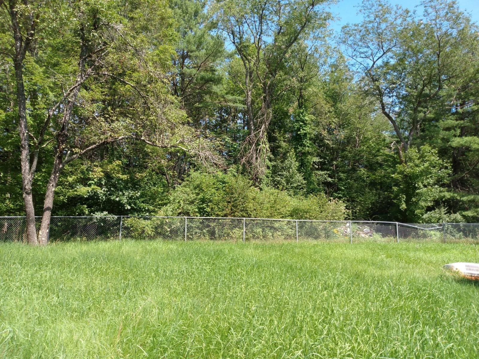 672 Borough Road Hill, NH 03243 - Photo 5 of 14