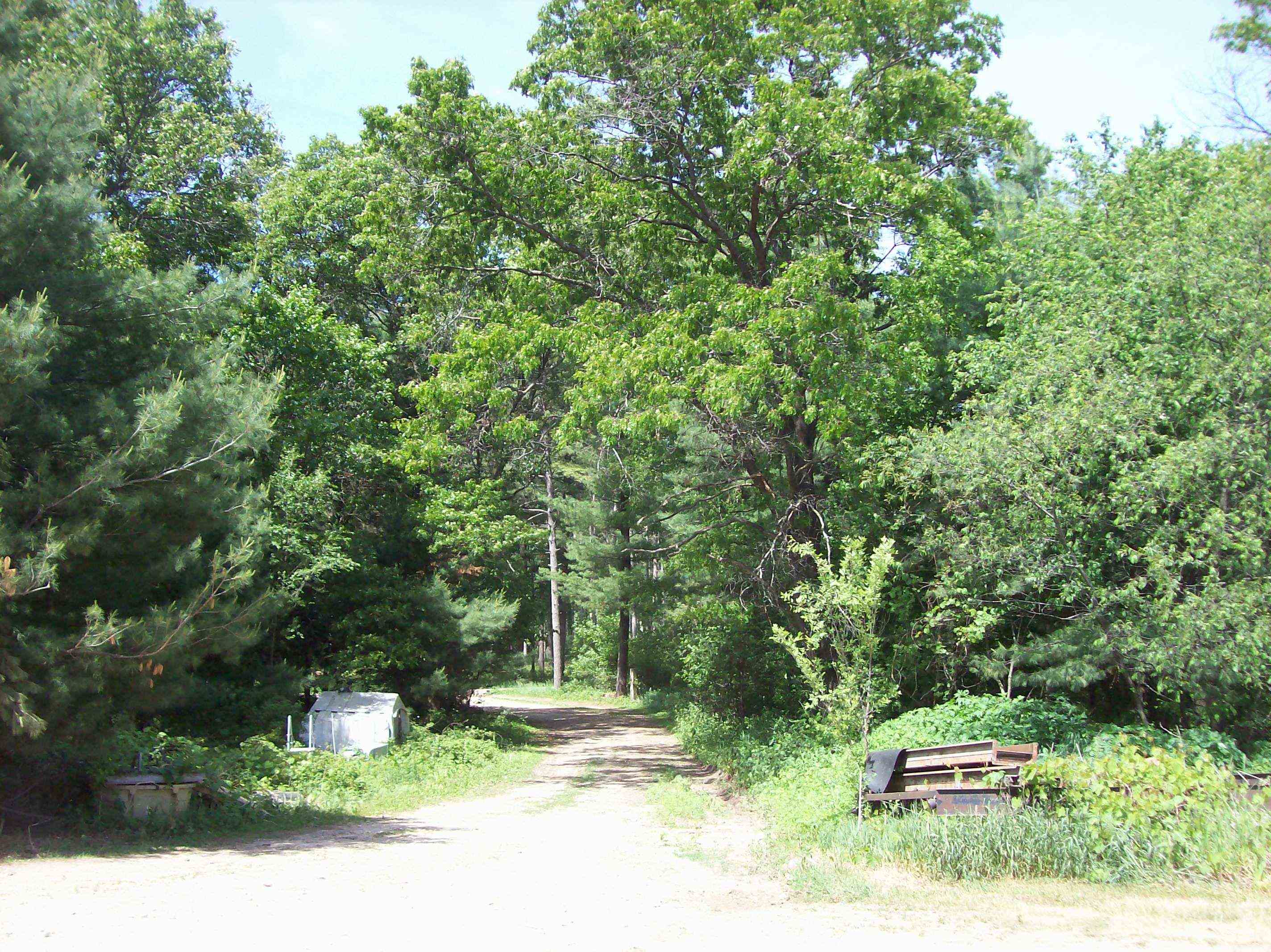 N6702 12th Road Montello, WI 53949 - Photo 34 of 79