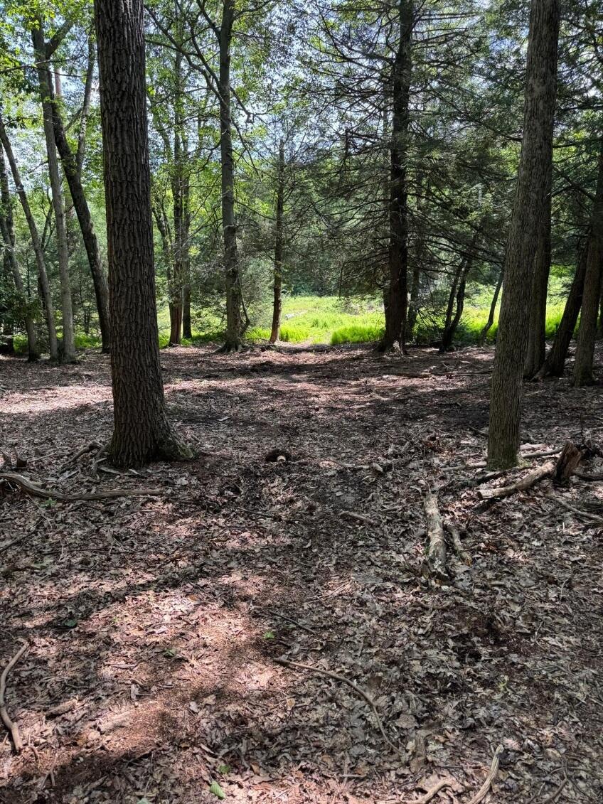 12 Wilderness Trail Scotrun, PA 18355 - Photo 3 of 7 12-6