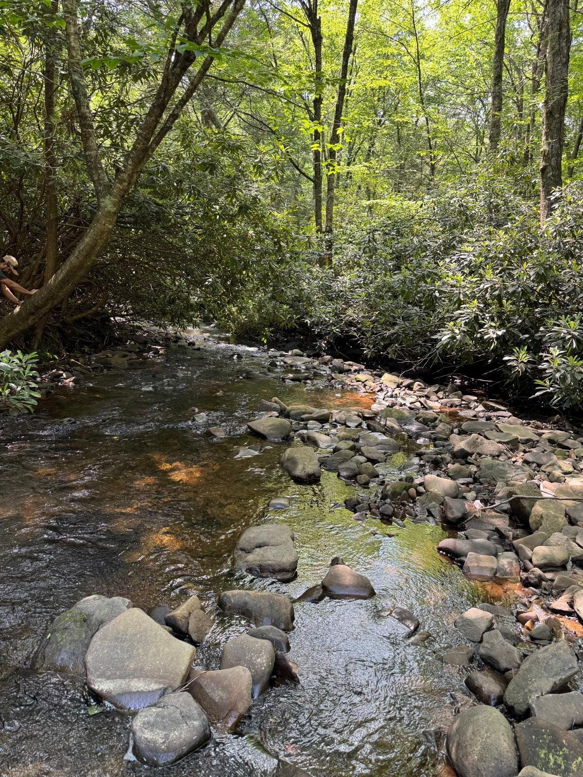 12 Wilderness Trail Scotrun, PA 18355 - Photo 4 of 7 12-3
