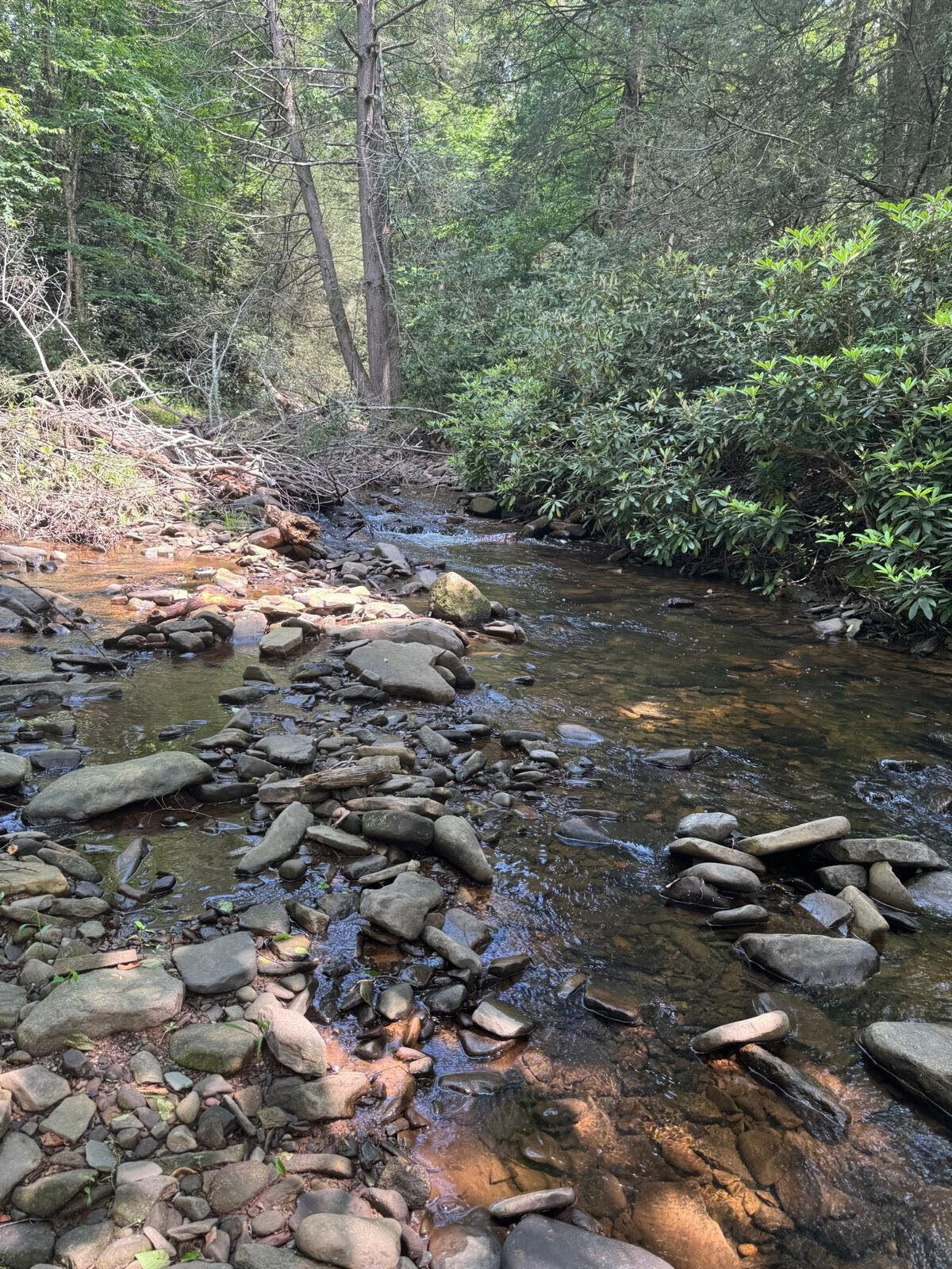 12 Wilderness Trail Scotrun, PA 18355 - Photo 5 of 7 12-5