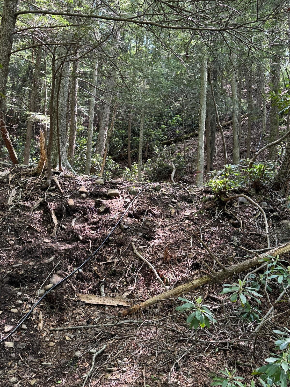 12 Wilderness Trail Scotrun, PA 18355 - Photo 6 of 7 12-2