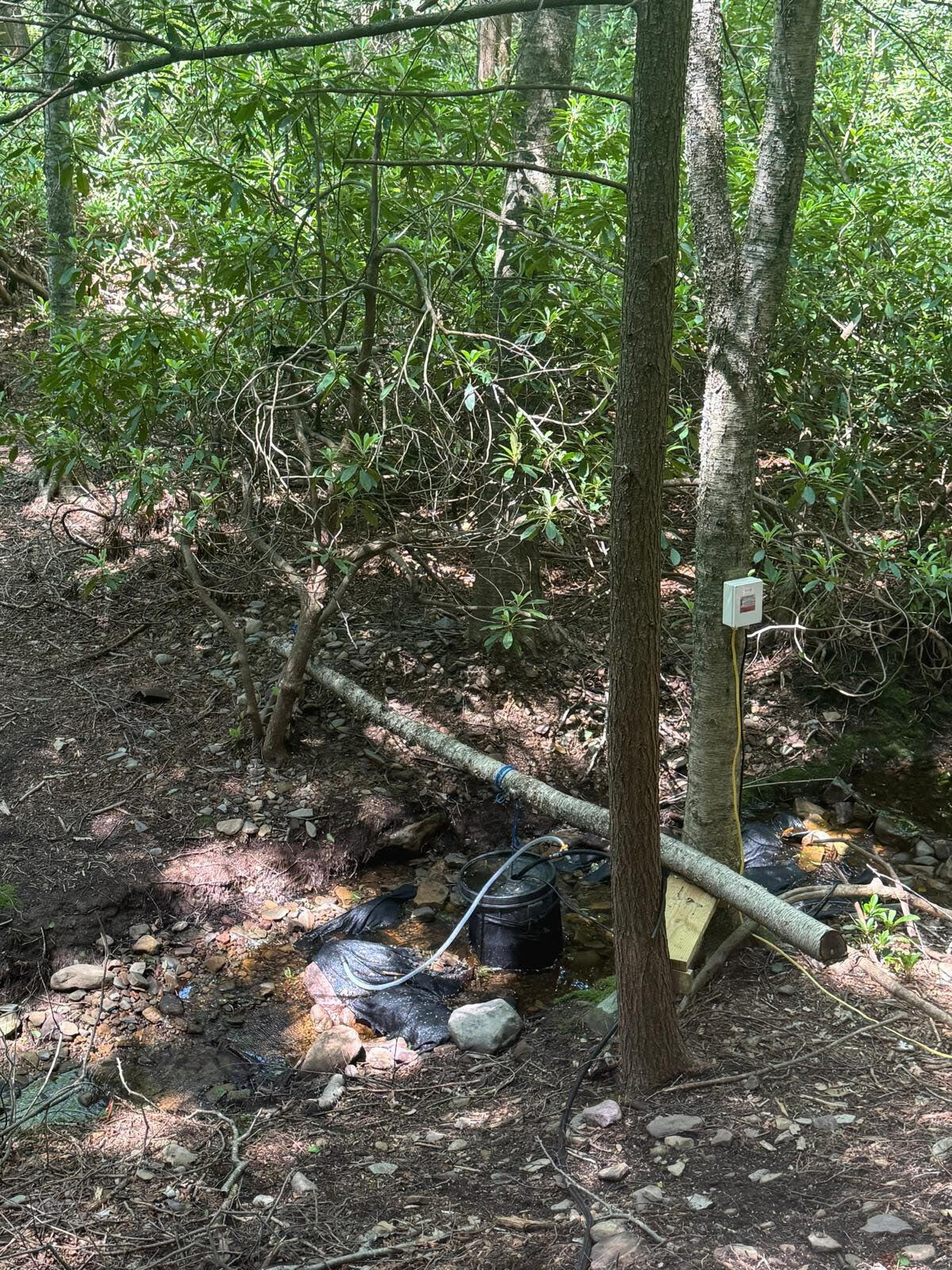 12 Wilderness Trail Scotrun, PA 18355 - Photo 7 of 7 12-1