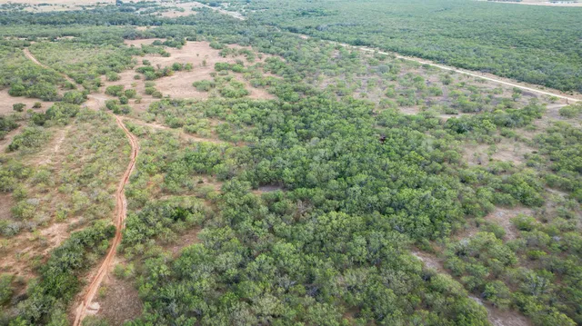 $310,500 | 7-8 Cr 171 Nixon Tx 78140, Smiley, TX 78159