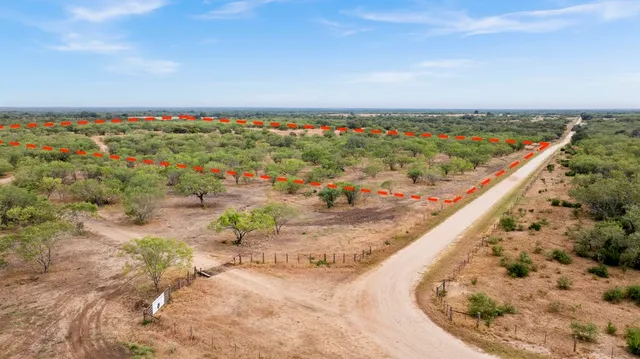 a backyard of a house with large trees