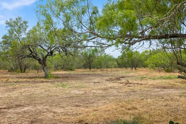a view of a field with trees in background