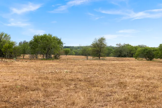 a view of backyard with tree