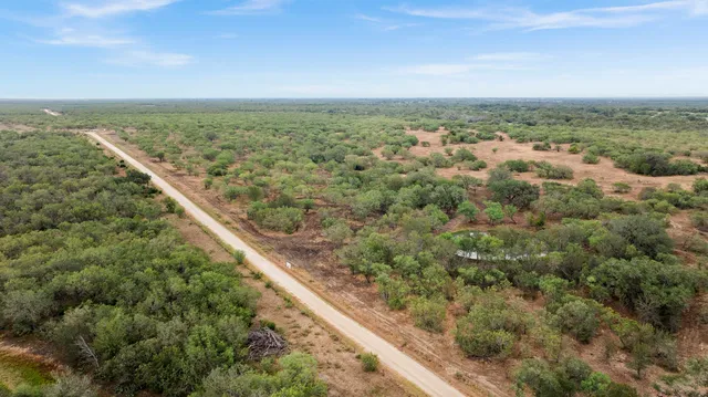 a view of a field of grass and trees