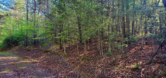 a view of grassy field with trees