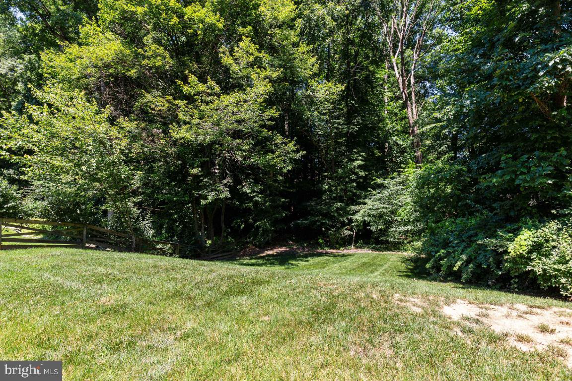 7324 Jenna Road Springfield, VA 22153 - Photo 54 of 64 Extraordinary lot with plenty of woods for privacy