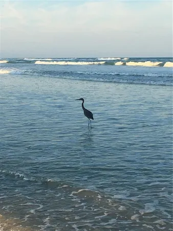 a view of an ocean