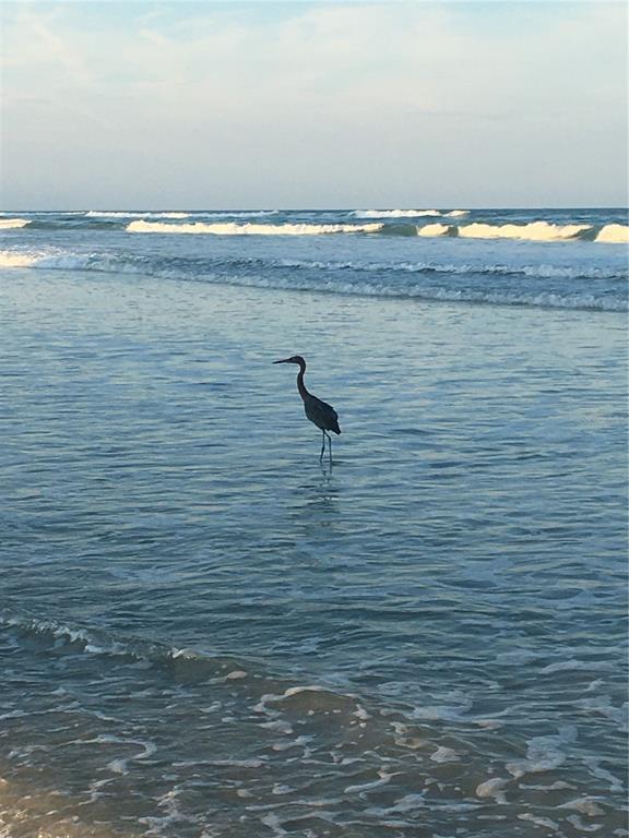 4453 South Atlantic Avenue, Unit 208 Ponce Inlet, FL 32127 - Photo 8 of 40 a view of an ocean