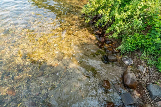 $1,324,900 | 9722 Maple Circle Northwest, Alexandria, MN 56308