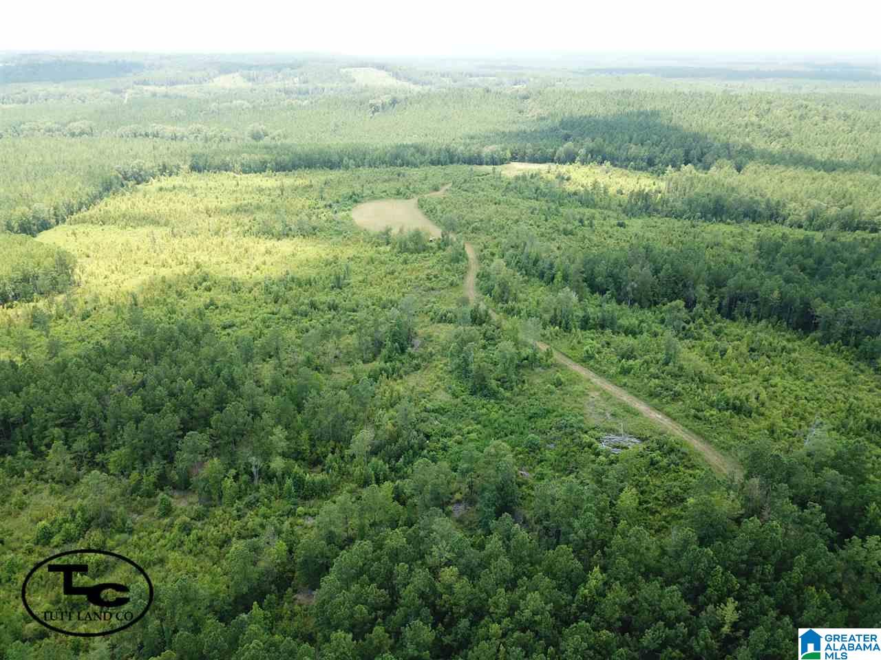 43 Highway, Unit CALVARY Demopolis, AL 36732 - Photo 2 of 9