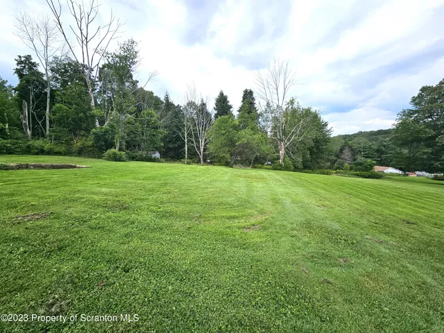 a view of a grassy field with trees