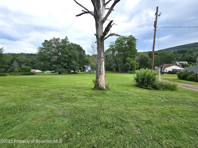 a view of a field with a tree in the background