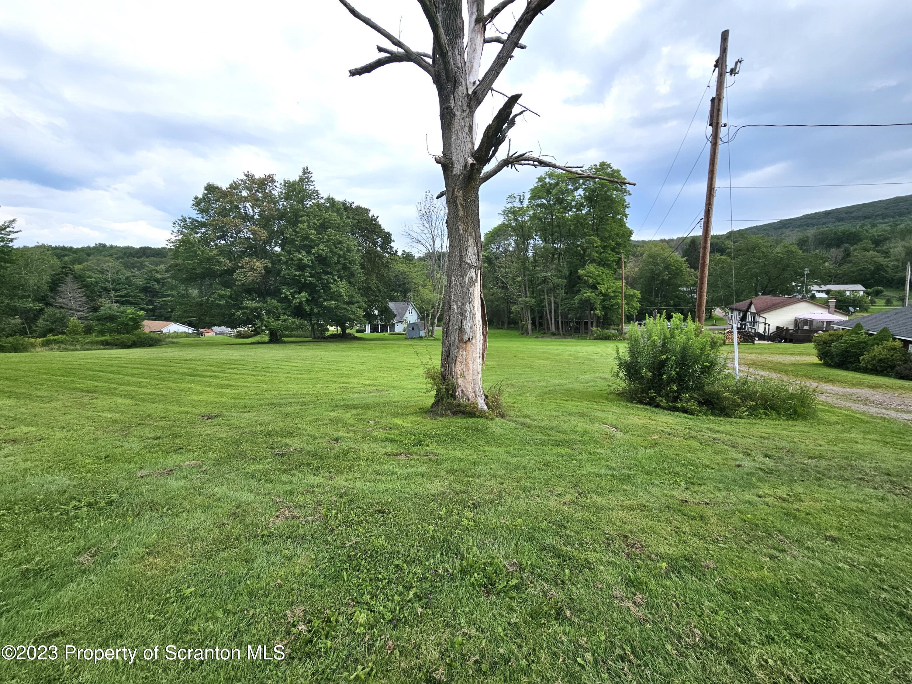 Frazier Lane Olyphant, PA 18447 - Photo 3 of 8 a view of a field with a tree in the background