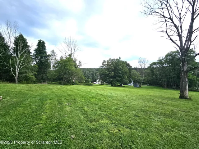 a view of field with trees in the background