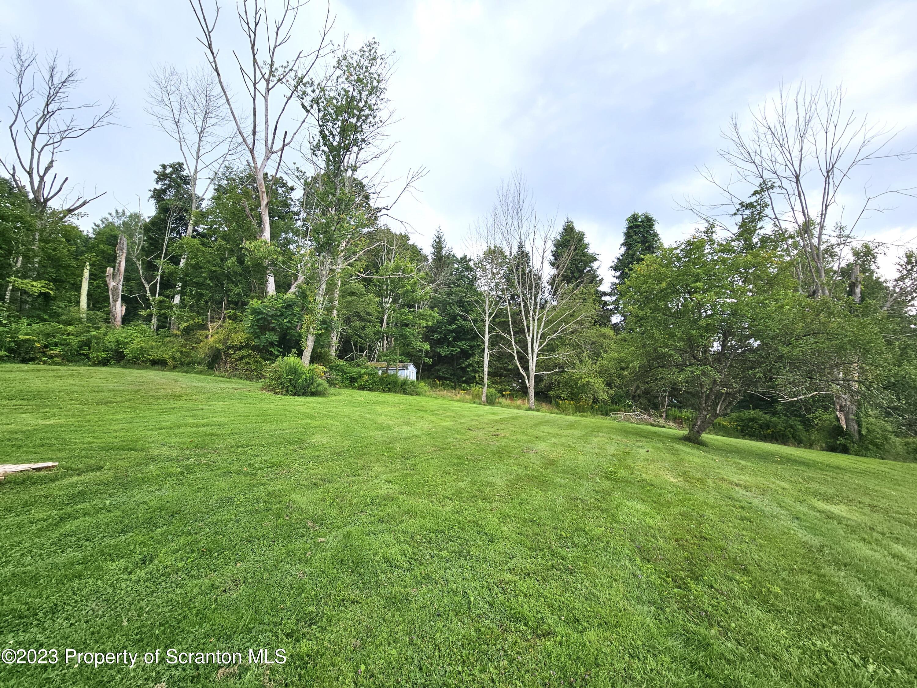 Frazier Lane Olyphant, PA 18447 - Photo 5 of 8 a view of a grassy field with trees in the background